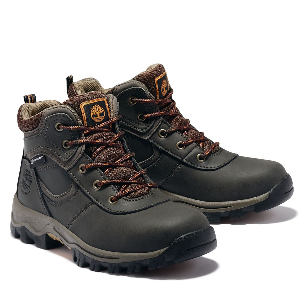 Bocanci De Drumeție Timberland Copii Maro Inchis - Youth Mt. Maddsen Waterproof - Romania - WBFKMY02